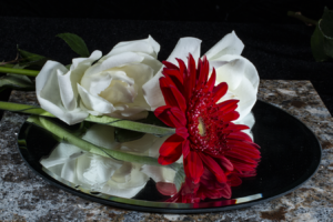 floral photography